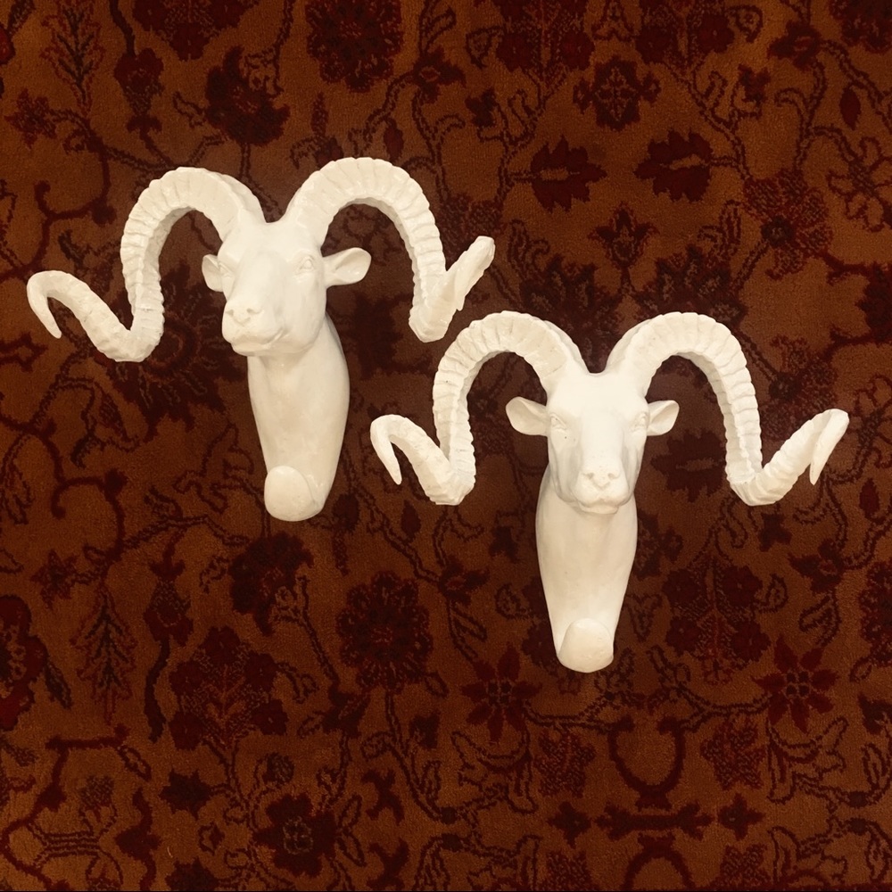 Beautiful Rams Heads- for your boho home! 🌙